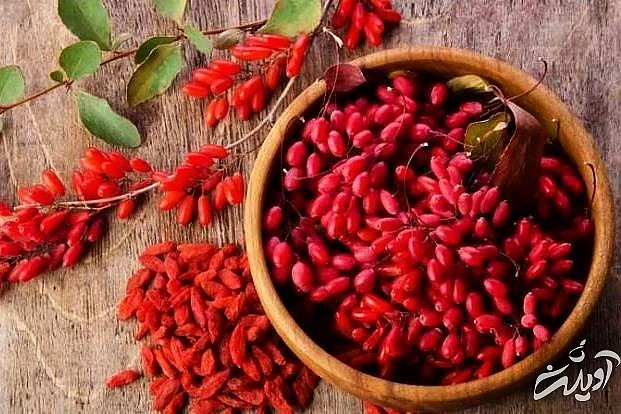 زرشک سوغات مشهد زرشک